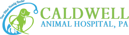 Vet In Lenoir | Caldwell Animal Hospital Logo